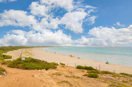 Natural reserve of Vendicari (Sicilia, Italy) - In the southern part of the island of Sicily, a suggestive wildlife oasis with the sandy beaches of Calamosche and San Lorenzo