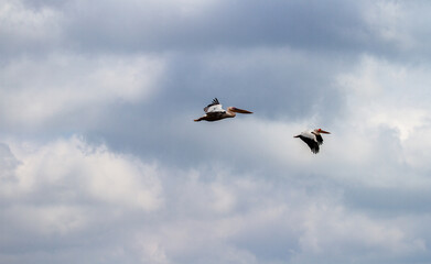 On the Danube Delta in Romania