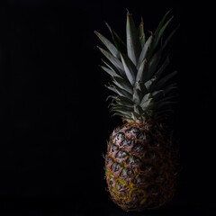 pineapple on black background