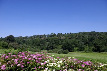 Campagne à Rochefort-en-Terre