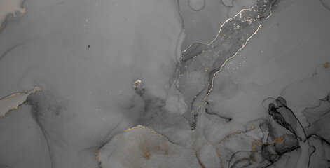 Alcohol Ink. Gray Abstract Painting. Art Flow