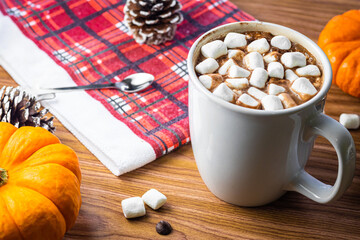 Top View Hot Chocolate with Marshmallows in Autumn