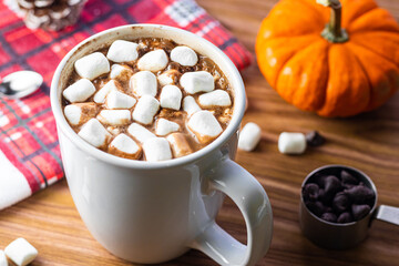 Hot Chocolate with Marshmallows in Autumn