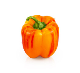 Orange sweet pepper isolated on white with shadow and reflection. Vertically.