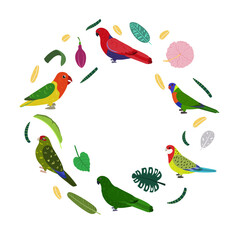 Obraz premium Design template with parrots in circle for kid print. Round composition of tropical birds kakariki, loriiane, eclectus and rosella. Vector set of jungle life in cartoon style.