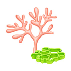 Sea Polyp or Coral Growing on the Ocean Bottom and Stone Vector Composition