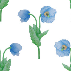 Seamless pattern blue poppies on a white background
