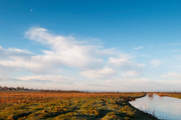 Fototapeta premium river overflow on a sunny cloudless day