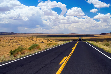 View on empty endless black asphalt road with yellow and white lane markings in dry arid landscape against blue summer sky with cumulus clouds - Arizona, USA