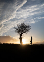 Sunset - Dublin Park Ireland