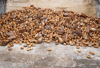 Recycling - Bäckereiabfälle, alte Backwaren werden in der Schweinefütterung verwertet.
