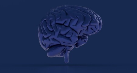 Creative background, the human brain on a blue background, the hemisphere 3d