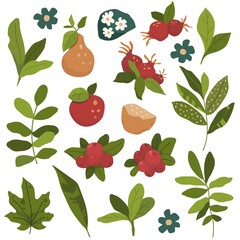 Vector illustration of collection green elements: rosehips, leaves, branches, flowers, apple, pear, red berries. Set of isolated nature objects on the white background.