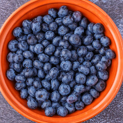 Fresh blueberry background. Blueberry Texture Close Blueberry Antioxidant Organic Superpeed Bowl Concept Healthy Nutrition