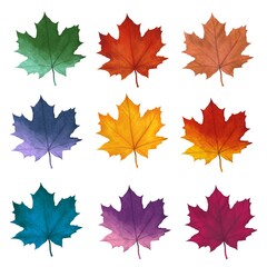 Naklejka na ściany i meble Bright autumn maple leaves, nine pieces on a white background