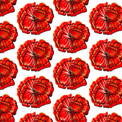 Hand drawn abstract seamless pattern with poppies isolated on white background. Golden, red and black colors. Vector illustration.