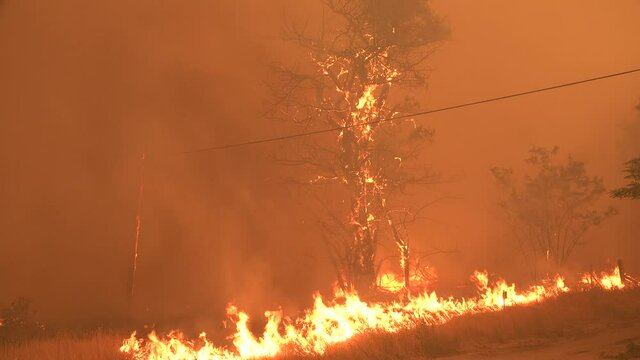 2021 - The Dixie Fire burns unchecked in a forest in Northern California.
