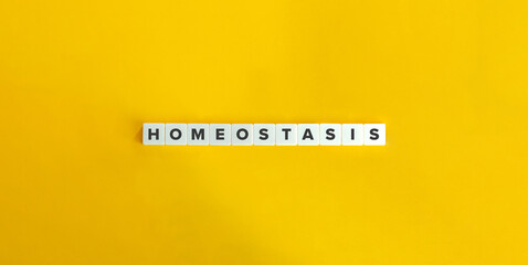 Homeostasis banner and concept. Block letters on bright orange background. Minimal aesthetics.