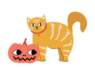Halloween cute hand drawn vector illustration with cat and pumpkin. Isolated on white background