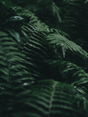 Processed with VSCO with a6 preset