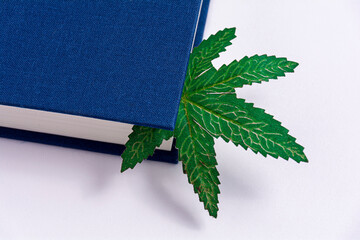 Blue book on a white background. Cannabis leaf in a book. Concept.