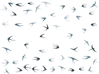 Flying martlet birds silhouettes vector illustration. Nomadic martlets flock isolated on white.