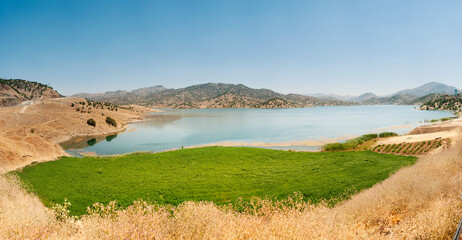 the view of water in a lake with mountains surrounded with clear blue sky and alfa alfa plants in foreground , kurdistan Province, iran