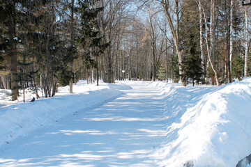 Fototapeta na wymiar snow-covered alley in a winter park in sunlight