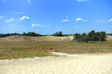 Fototapeta na wymiar Letea sand dunes, Danube Delta, Romania, Europe