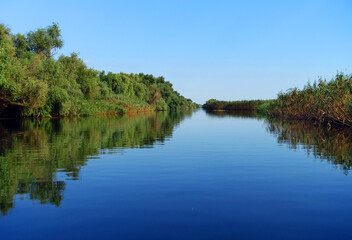 Fototapeta na wymiar Boat trip in Danube Delta. Plants specific to the wetlands of Danube Delta in Romania, Biosphere Reserve, Europe
