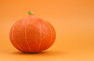 Pumpkin with stripes on an orange background. Copy space