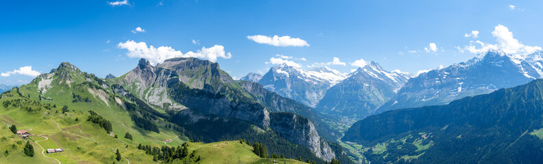 Vue panoramique sur des montagnes vertes et des sommets enneigés