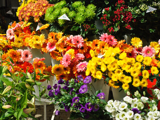 Fototapeta na wymiar Sunlit flowers for sale on the street