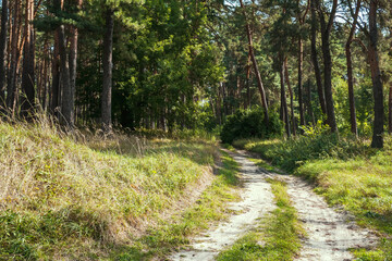 Fototapeta premium Dirt road and wood