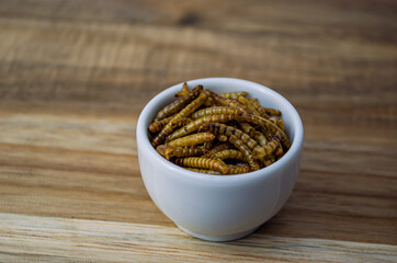 The larvae of the mealworm (Tenebrio molitor) are dried. Excellent for feeding reptiles, hedgehogs, sugar possums, meerkats, insectivorous birds and animals.
