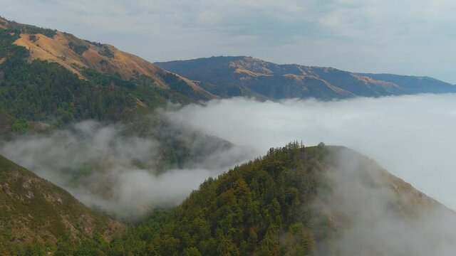 Beautiful aerial of fog rolling into the coast of California near Big Sur.