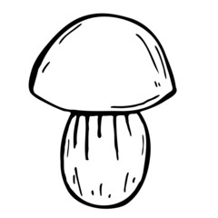 Mushroom hand drawn vector doodle illustration. Cartoon mushroom. Isolated on white background. Hand drawn simple element