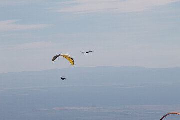 Adrenalina en parapente una vista hermosa desde las alturas viviendo el momento

Adrenaline in paragliding a beautiful view from the heights living in the moment