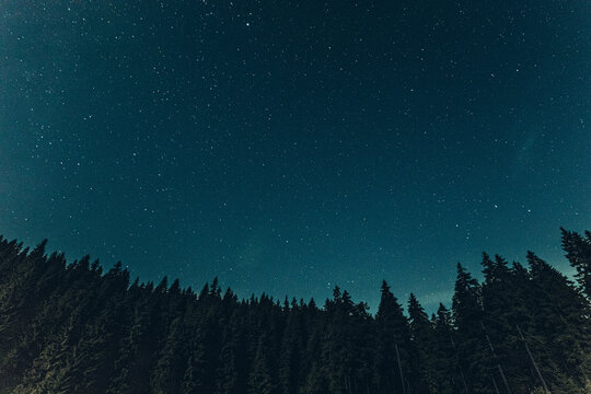 night sky in the mountains. starry sky