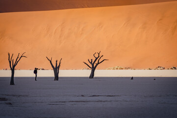 Fototapeta na wymiar Dead acacia trees and red dunes in Deadvlei. Sossusvlei. Namib-Naukluft National Park, Namibia