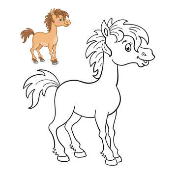 Little funny horse. Black and white picture for coloring book with a colorful example. In cartoon style. Isolated on white background. Vector illustration.