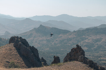 Magmatic Mountains and Birds