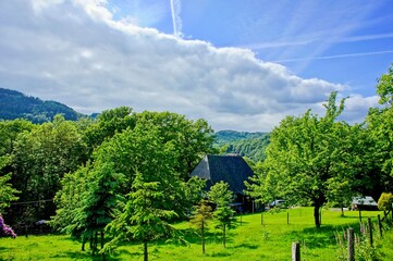 Fototapete bei efototapeten.de bestellen   