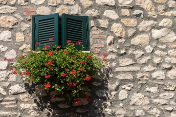 Finestra con vaso di fiori