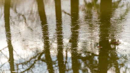 Reflections on the frosty lake, in winter, close-up	