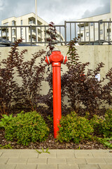 Beautiful Red Hydrant - obrazy, fototapety, plakaty