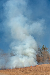 Dramatic Smoke Rising From a Prairie Burn