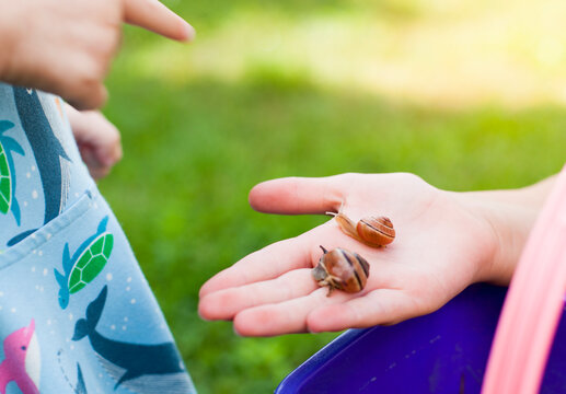 Kinder In Biologieunterricht. Schnecken Im Garten. Unterricht Im Garten. Children In Biology Class. Snails In The Garden. Lesson In The Garden.