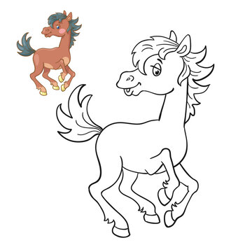 Little funny horse is galloping. Black and white picture for coloring book with a colorful example. In cartoon style. Isolated on white background. Vector illustration.