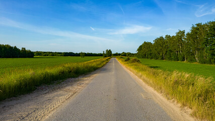 Aerial view of road in beautiful green forest at sunset in spring. Colorful landscape with car on the roadway, trees in summer. Top view from drone of highway in Europe. View from above. Travel. High